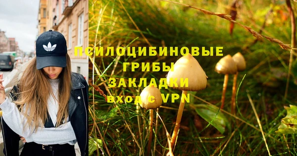 соль ск Покров