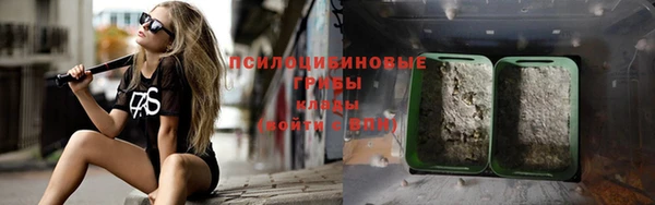 сатива Алексеевка