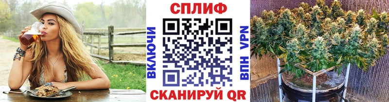 дарнет шоп  Кимры  Марихуана гибрид 